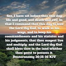Deuteronomy 30 15 16 Deuteronomy 30 Deuteronomy Love The Lord