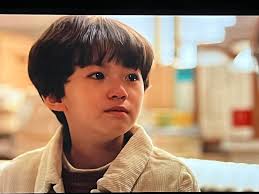 Has anybody here seen Behind Every Star or Divorce Attorney Shin?