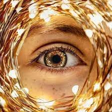17 Ideas Photography Macro Creative Photographers Photography Creative Ideas Creative Portrait Photography Portrait Photography Tips Creative Photographers