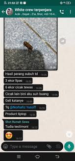 We did not find results for: Dr Fresh Original Hq Hapus Lipas Dalam Kereta Rumah Facebook