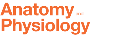 Anatomy And Physiology Openstax