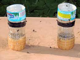 Homemade Fly Bug And Mosquito Trap News Bubblews Mosquito Trap Mosquito Trap Diy Bug Trap