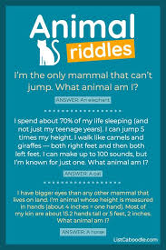 Is horseback riding fun, expensive, difficult, dangerous or hard to do? Pin On Fun Trivia Riddles For Kids
