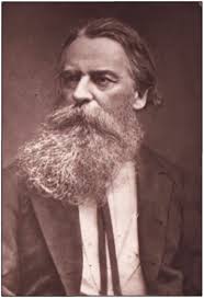 Image result for Alectra bainesii