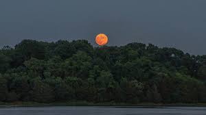 The waning gibbous moon phase occurs first, followed by the last quarter moon when half of the moon's disc is illuminated. Full Buck Moon Lunar Eclipse Peaks Late On The Fourth Of July Wjar
