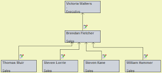 Creating Organisation Charts Smartwiki