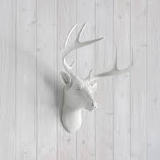 At b&b taxidermy, you can get beautiful decor created from your harvested game. Faux Taxidermy The Space In Home Decor Where Lodge Style Meets Hogwarts Repsychol D By Lucy