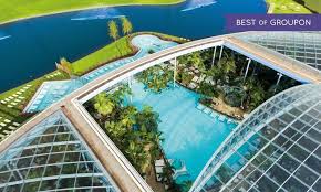 Thermen Und Badewelt Euskirchen Gmbh Euskirchen Tageskarte Fur Palmenparadies Vitaltherme Und Sauna In Der Thermen Und Badewel Therme Schwimmbader Pool Bar