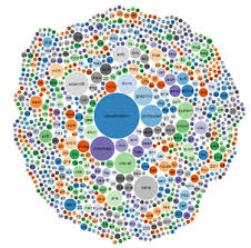 30 Basic Tools For Data Visualization Data Visualization Tools Data Visualization Design Data Science