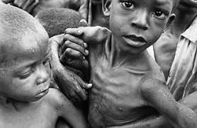 Development of Novel Oral Lipid-Based Amphotericin B Formulations for the  Amphotericin B Formulations for the Treatment of Syste