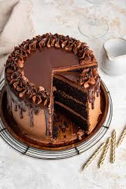 Best Chocolate Layer Cake with Chocolate Buttercream Frosting | Bunsen  Burner Bakery