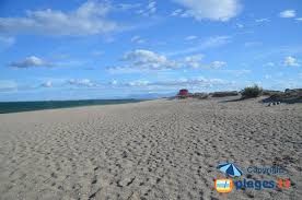 La palmeraie, en bordure de piscine à oasis, le restaurant de la plage, en bordure de mer à aphrodite et le pénélope à ulysse, sont des restaurants qui proposent des soirées dansantes. Plage Naturiste Leucate 11 Aude Languedoc Roussillon Plages Tv