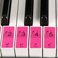 Die klaviatur mit noten kennen lernen. Klavier Keyboard Noten Aufkleber Fur 49 Kaufland De
