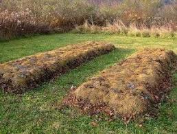 Decouvrons Les Buttes Lasagnes Astuces De Jardinage Bio Jardin Permaculture Terrasse Jardin