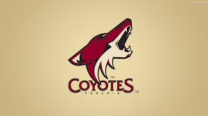 Arizona Coyotes Wallpaper 80 Images