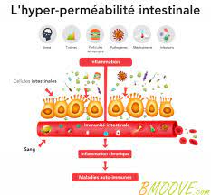 Recevez une formation de 7 jours offerte et le guide des 300 aliments pauvres en fodmap afin de vous libérer des troubles intestinaux dus au syndrome de l'intestin irritable. Comment Vaincre Une Maladie Auto Immune Bmoove