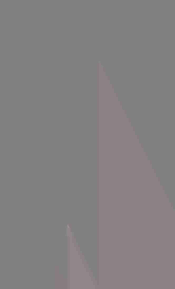 Image result for Syngonanthus longibracteatus