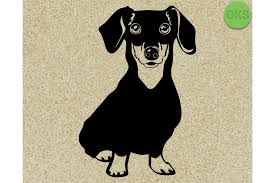 Download Dachshund Vector Graphic By Crafteroks Creative Fabrica PSD Mockup Templates