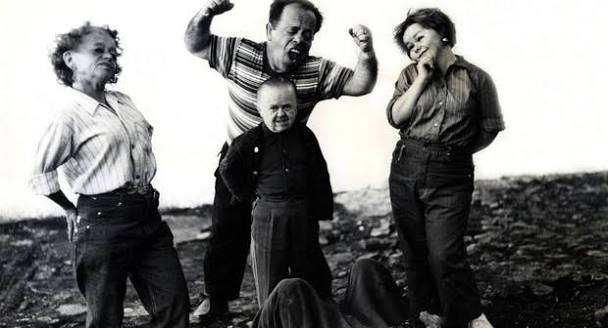Even Dwarfs Started Small | Rotten Tomatoes