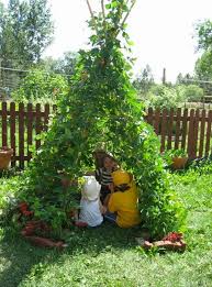 Seedsnow Timeline Photos Facebook Garten Diy Hinterhof Garten Pflanzen