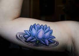 Pin On Things I Love