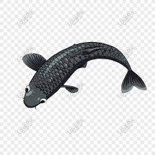 Kumpulan gambar lucu kartun hitam putih tumbuhnya iptek merubah semua hal yang kita perlukan akan lebih mudah untuk kita lakukan salah satu. Ikan Kartun Belanai Hitam Melambangkan Keberuntungan Png Grafik Gambar Unduh Gratis Lovepik