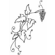 Pruning is necessary if good fruit is to be produced. Grapevine Coloring Page Fruit Coloring Pages Grape Vines Vine Drawing