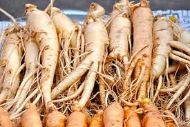 Ginseng: Propiedades de la Planta Medicinal - Blog de Casa Pià
