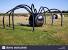 Hay Spider