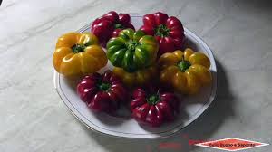 Maybe you would like to learn more about one of these? Papacelle Sott Aceto Conserve Youtube