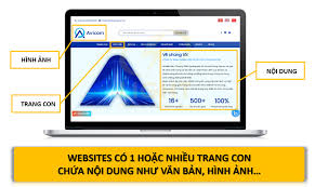 Phần Mềm Là Gì? Toàn bộ Các Loại Phần Mềm Hiện Hay