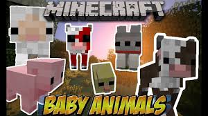Baby animals model swapper, squickens mod 1.14.4/1.12.2 for minecraft · you can tame the baby animals by giving them wheat. Baby Animals Mod Minecraft Pe