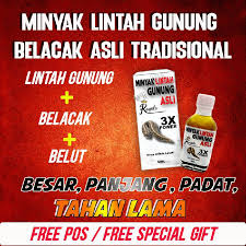Minyak lintah dan ikan belacak. Minyak Lintah Belacak Asli Lazada