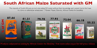 Tiger brands launched the first national nutrition study of south africans since 2012. Food Fascism In South Africa Tiger Brands Pioneer And Premier Force Feeding The Nation Risky Gm Maize Acb
