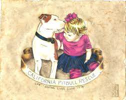 Pbrc is an educational and funding resource for owners and caretakers of american pit bull terriers, american staffordshire terriers, staffordshire bull terriers. Pets For Adoption At California Pit Bull Rescue In Oakland Ca Petfinder