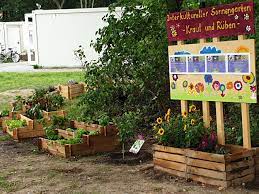 Wie die meisten stadtkinder hatten sie und ihre geschwister relativ wenig kontakt zur lokalen fauna und setzten sich vergebens für die anschaffung eines haustieres an. Wie Der Interkulturelle Sonnengarten Kraut Und Ruben Seine Wurzeln Fand Und Weiter Wuchs Benn Wittenau Sud