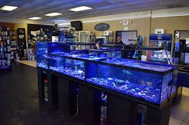 Freshwater fish are used to smaller spaces than saltwater fish. The Fish Tank