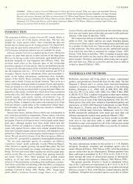 Image result for Hibiscus nigricaulis