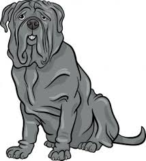 Although not aggressive by nature, the neapolitan mastiff has. Neapolitan Mastiff Free Vector Eps Cdr Ai Svg Vector Illustration Graphic Art
