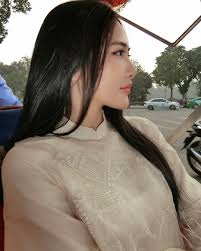 Lục Mai vốn dĩ là loài cây chỉ sống ở phương nam, cưỡng cầu về phương bắc  cũng chẳng thể nở hoa 🌷