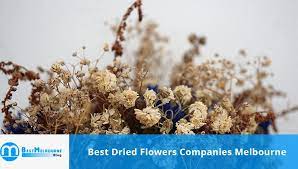 Daily blooms is an online florist delivering bouquets across melbourne, geelong & mornington peninsula. Flower Preservation Melbourne Best Dried Flowers Melbourne