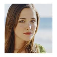 The Dog Walkers: Davis, Michelle: 9781734461947: Amazon.com: Books