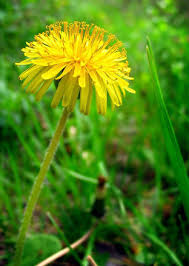 Termenul de transmitere a noilor salarii brute în registrul salariaților revisal a fost prelungit, joi, de guvern. Care Sunt Termenele De Transmitere A Modificarilor In Revisal Contabilitate Fiscalitate Monografii Contabile