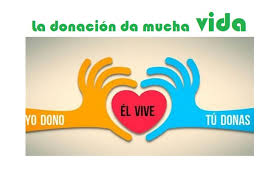 La donación de órganos es la remoción de órganos o tejidos del cuerpo de una persona que ha muerto recientemente o de un donante vivo, con el propósito de realizar un trasplante. La Donacion Da Mucha Vida Celebramos El Dia Nacional Del Donante De Organos Y Tejidos Centro De Hemoterapia Y Hemodonacion De Castilla Y Leon
