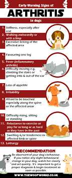 Arthritis Home Remedies Early Symptoms Best Tips Signs Of Arthritis Natural Remedies For Arthritis Arthritis Treatment