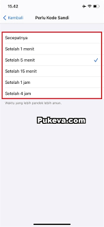 Cara Mengatur Waktu iPhone Meminta Password Setelah Terkunci | PUKEVA