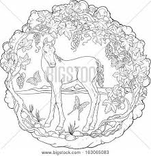 Download this sweet butterfly printable to charm your child. Filly Garden Vector Photo Free Trial Bigstock