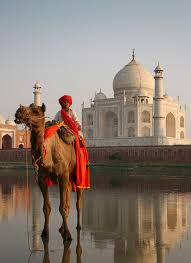Built in 1903, the taj mahal palace, mumbai is india's first luxury hotel. Taj Mahal Camel Boy A Photo From Uttar Pradesh North Trekearth