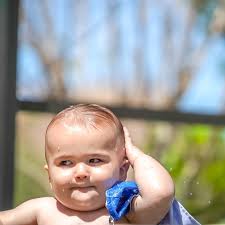 TOP 10 BEST Pool Supplies in Palm Harbor, FL