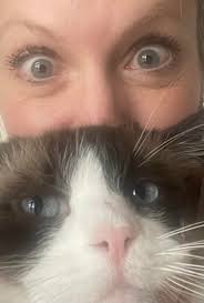 Lost indoor cat found, rainbow collar with phone number